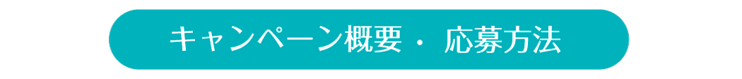 キャンペーン概要