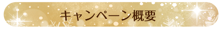 キャンペーン概要