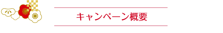 キャンペーン概要