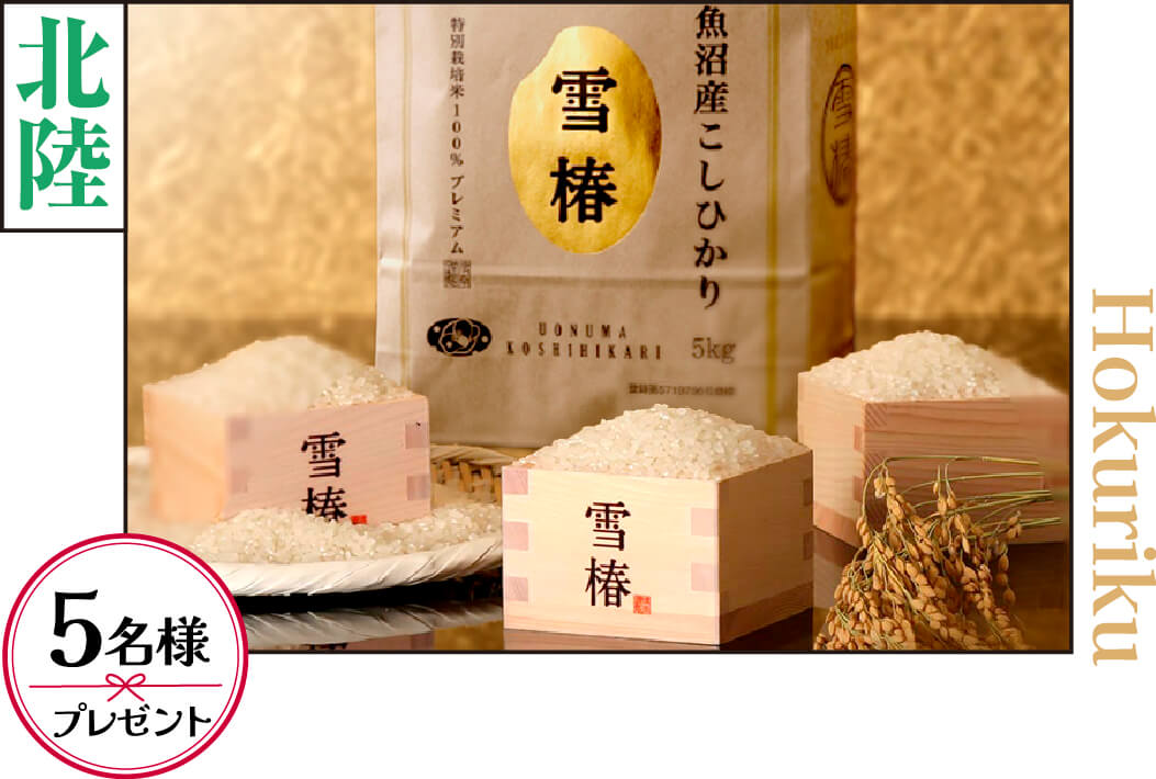 南魚沼産こしひかり「雪椿」