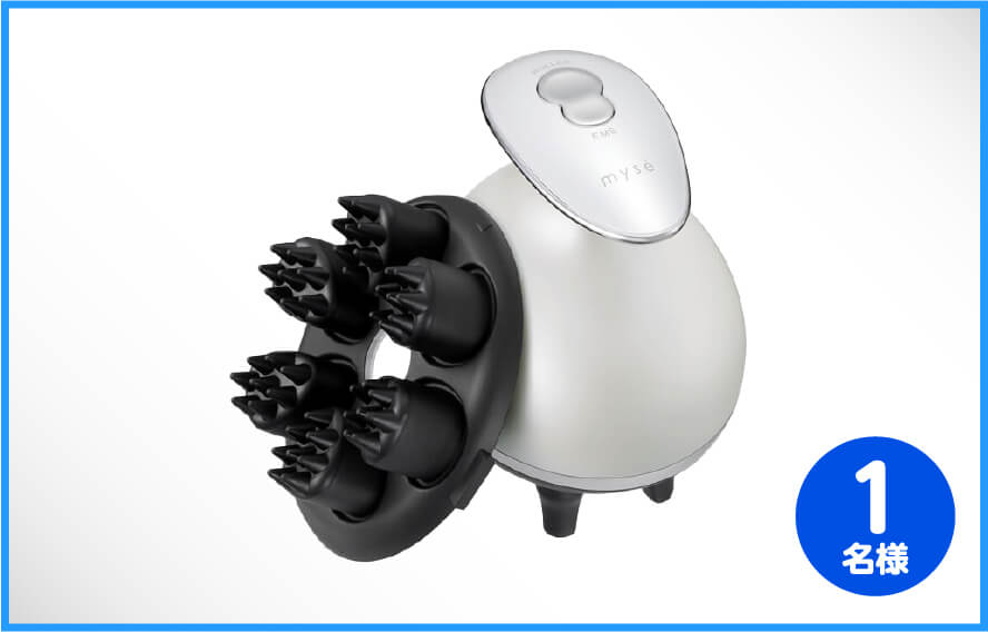 ミーゼ　ニードルヘッドスパ EMS