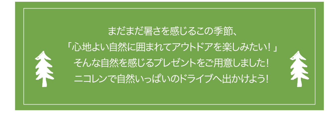 自然いっぱいのドライブに出かけよう