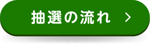 抽選の流れ
