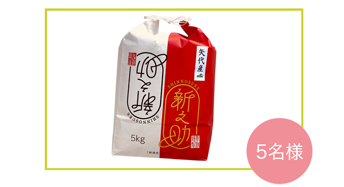 妙高矢代産 新之助 精米