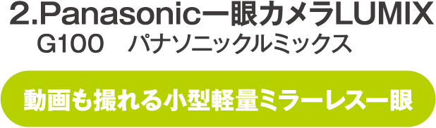 Panasonic一眼カメラLUMIX G100 パナソニックルミックス