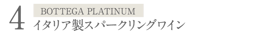 BOTTEGA PLATINUM