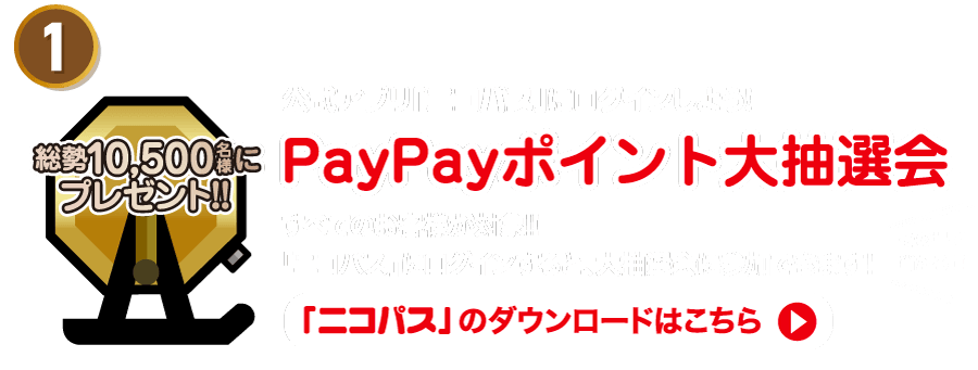ニコパスのダウンロードはこちら