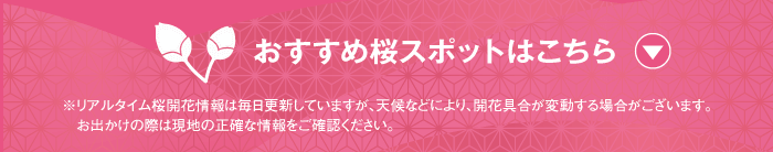 オススメさくらスポット
