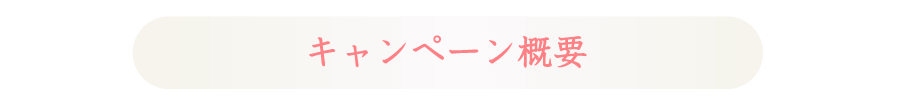 キャンペーン概要