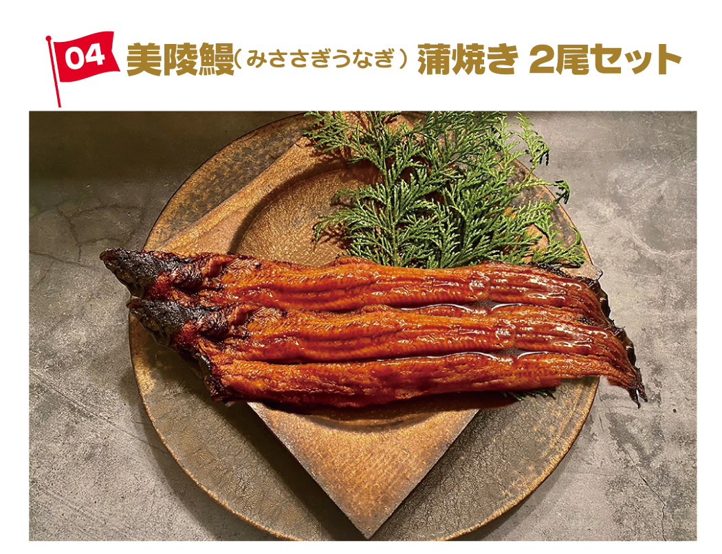 美稜鰻