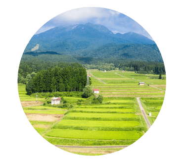 杉野沢の棚田