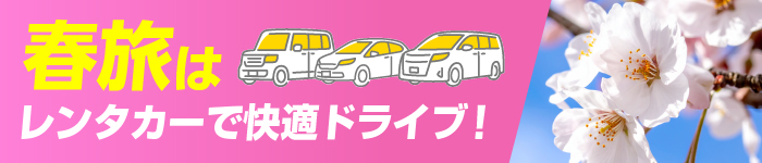 春のドライブはニコレンで