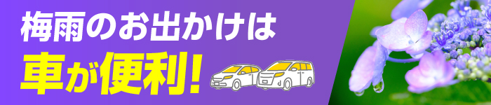 梅雨のお出かけははニコレンで