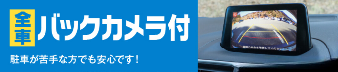 全車バックカメラ付