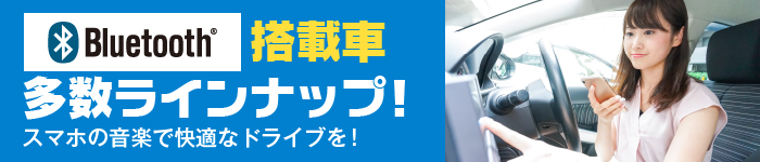 Bluetooth多数ラインナップ