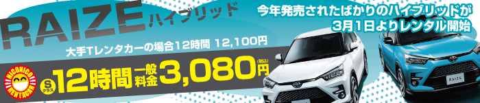 RIZEハイブリッドレンタル開始