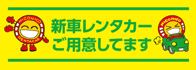 新車レンタカー用意しています