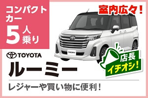 室内広々ルーミー