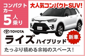 ライズハイブリッド