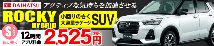 DAIHATSU ROCKY 小回りのきく大容量ラゲージSUV