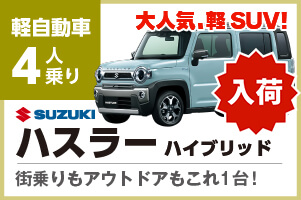 ハスラー