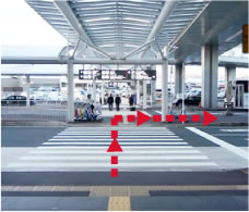 成田空港第1ターミナル横断歩道